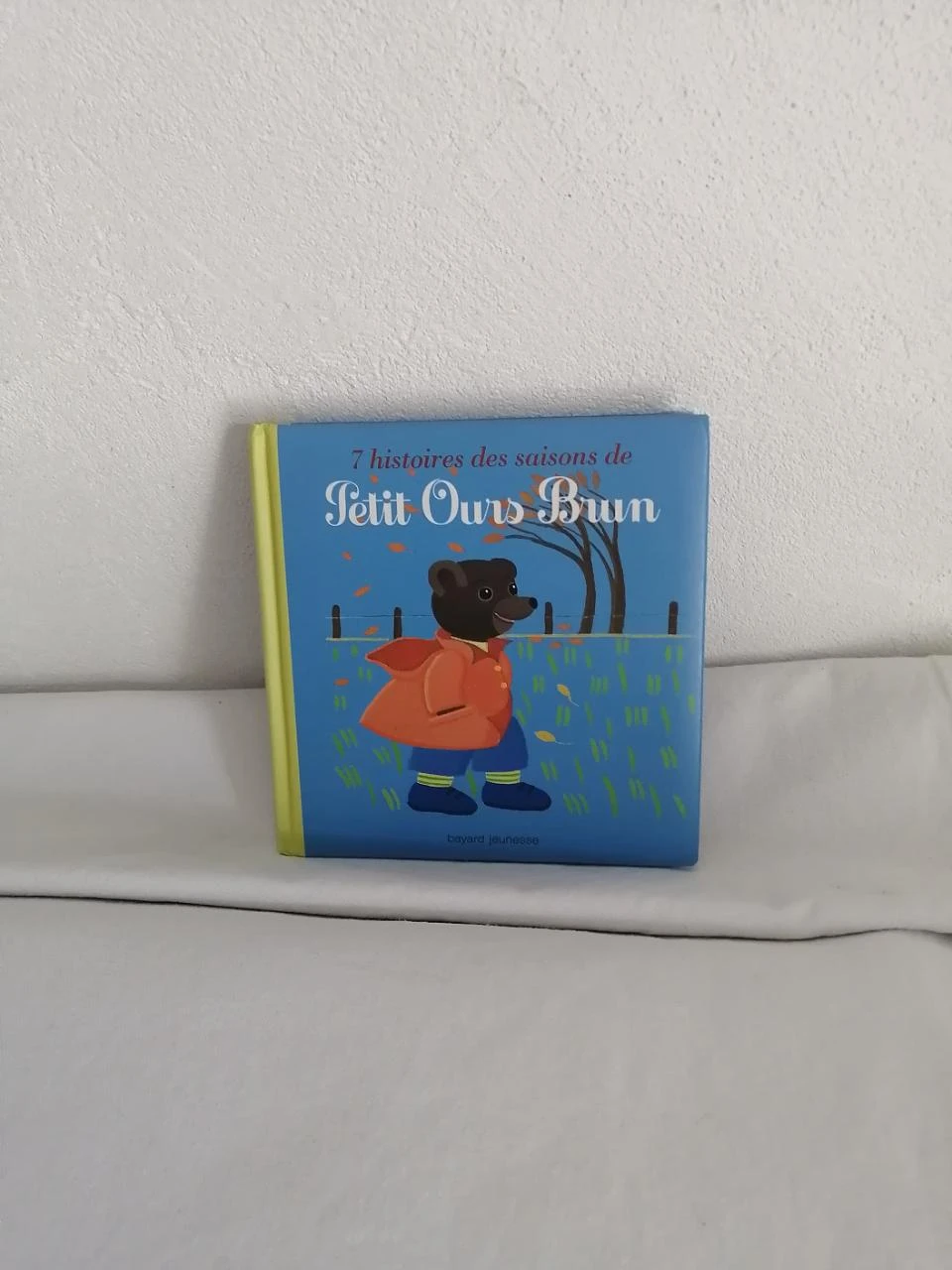 livre enfant - 7 histoires des saisons de petit ours brun